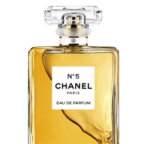 the bay gabrielle chanel|Chanel no 5 Paris price.